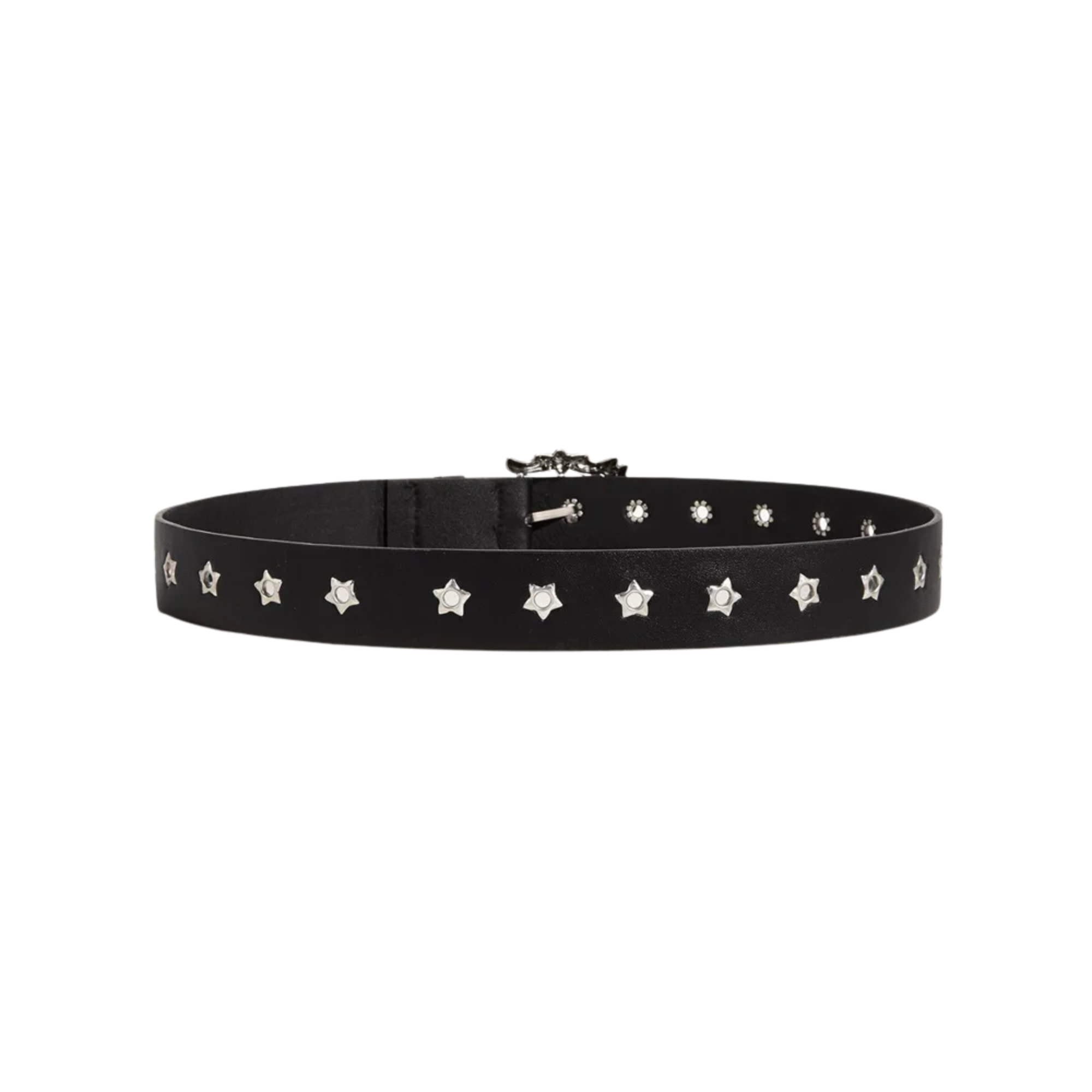 Full back view of Starry Eye belt showing evenly spaced silver star studs